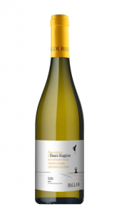 Rallo Grillo Bianco Maggiore 2024 75 cl. 13 vol.