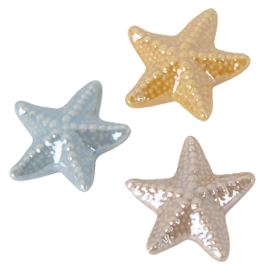 Star Stella Marina magneti Set 12 pz