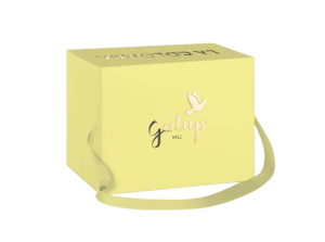 Galup Colomba Limone e Albicocca 750 g.