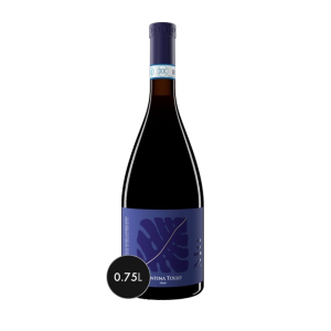 Tollo MO Montepulciano d'Abruzzo Riserva 2020 75 cl. 14 vol. nuova bottiglia